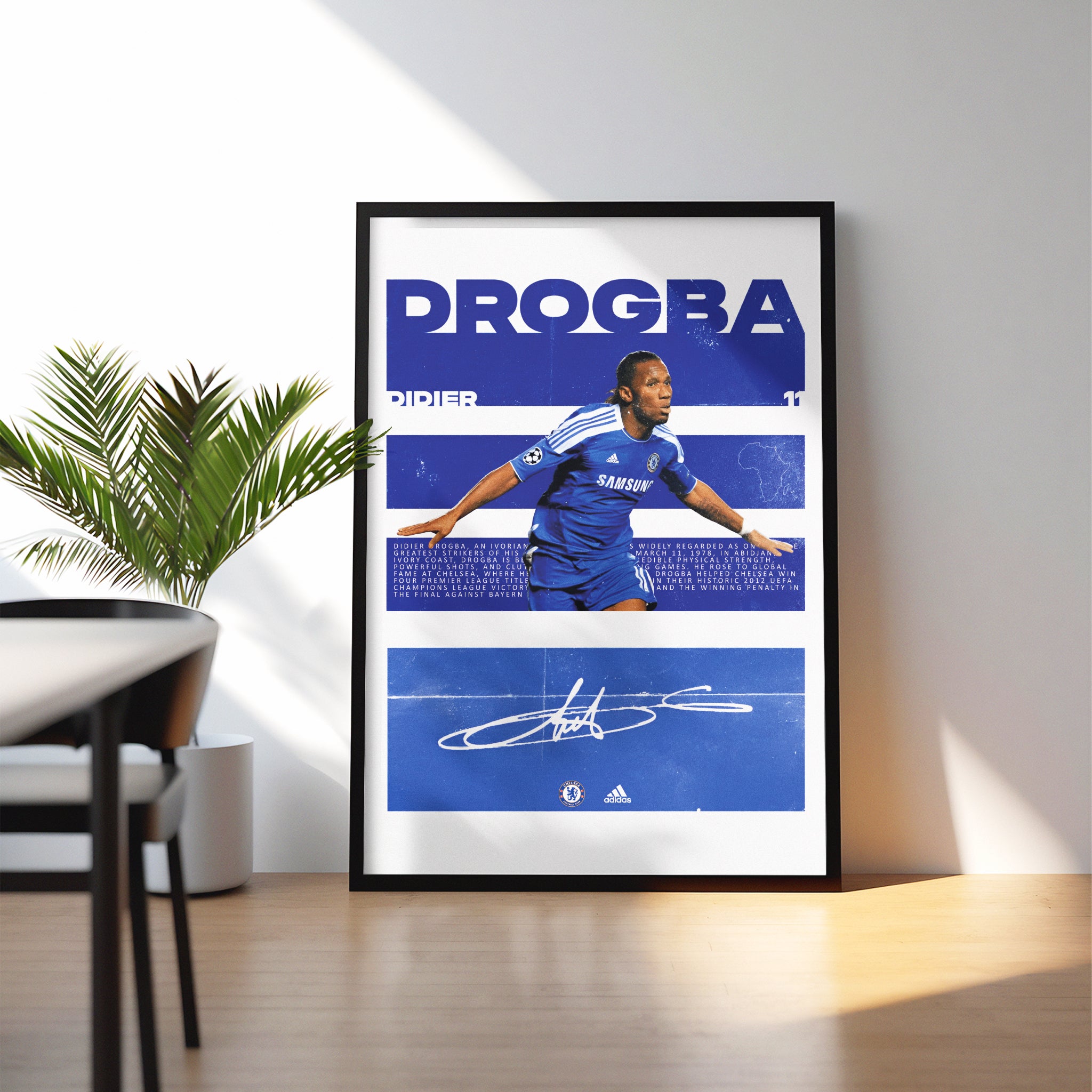 DIDIER DROGBA